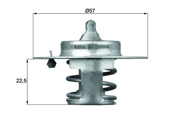 MAHLE termosztát, hűtőfolyadék TX 60 83D