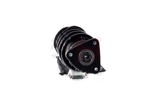 Vedruamort, GH GH-352539C02