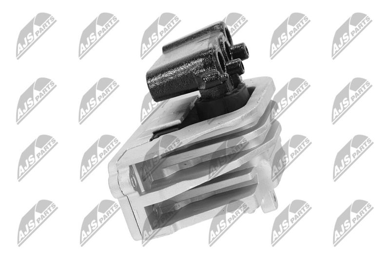 Paigutus, Mootor, NTY ZPS-CH-103