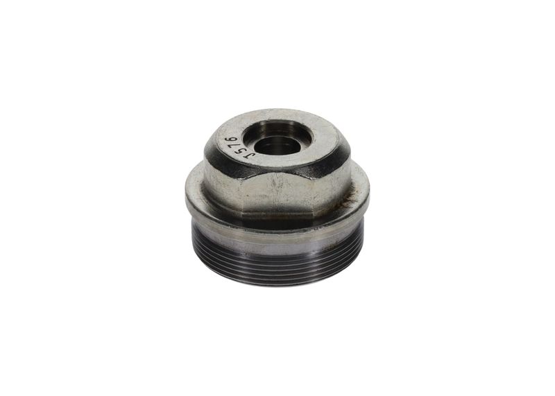 Surub F 002 D13 576 BOSCH