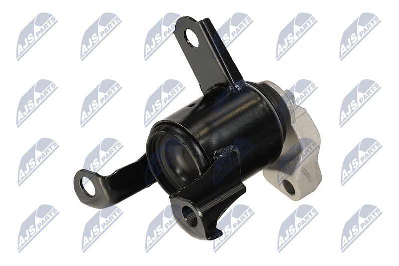 Paigutus, Mootor, NTY ZPS-FR-058