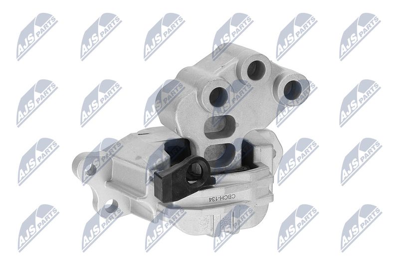 Paigutus, Mootor, NTY ZPS-CH-134