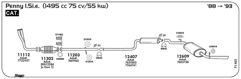 fi463_1.JPG