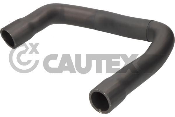 CAUTEX 216021 - Charge Air Hose