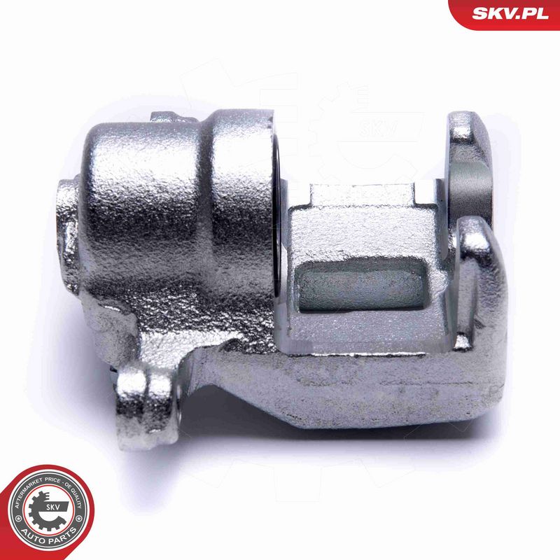 ESEN SKV 55SKV483 Brake Caliper