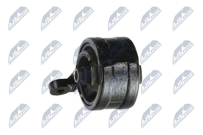 Paigutus, Mootor, NTY ZPS-KA-310