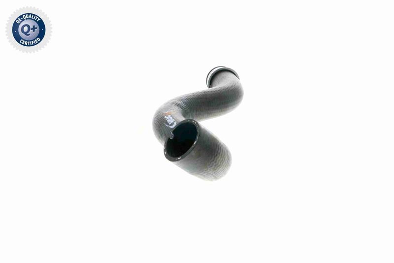 VAICO V30-1664 Radiator Hose