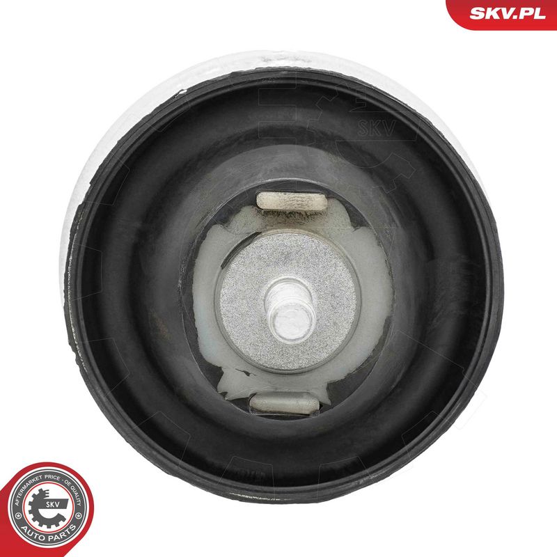 Paigutus, Mootor, ESEN SKV...