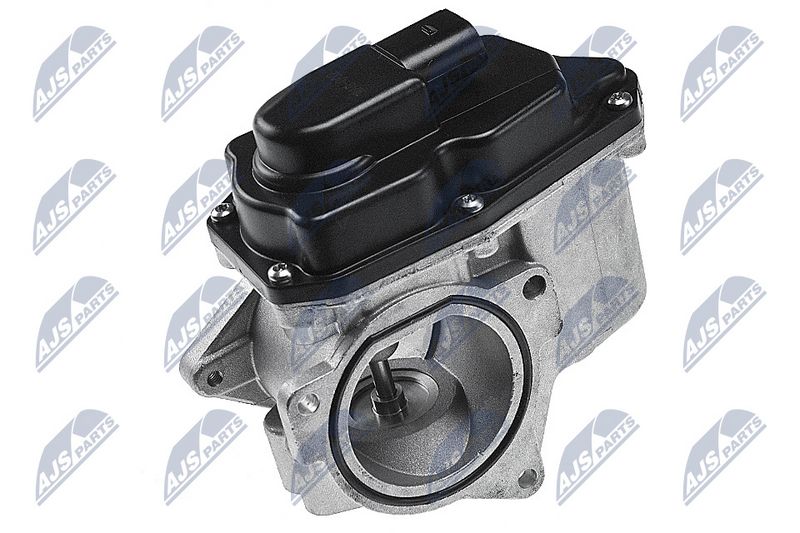 EGR-klapp, NTY EGR-AU-002