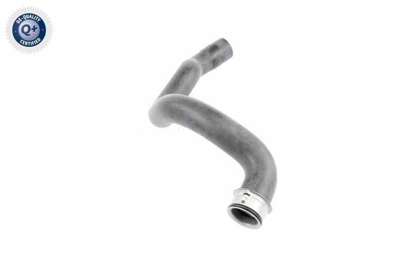 VAICO V30-1663 Radiator Hose