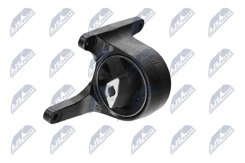 Paigutus, Mootor, NTY ZPS-CH-008