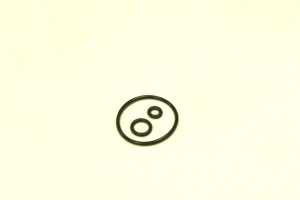 51559.JPG