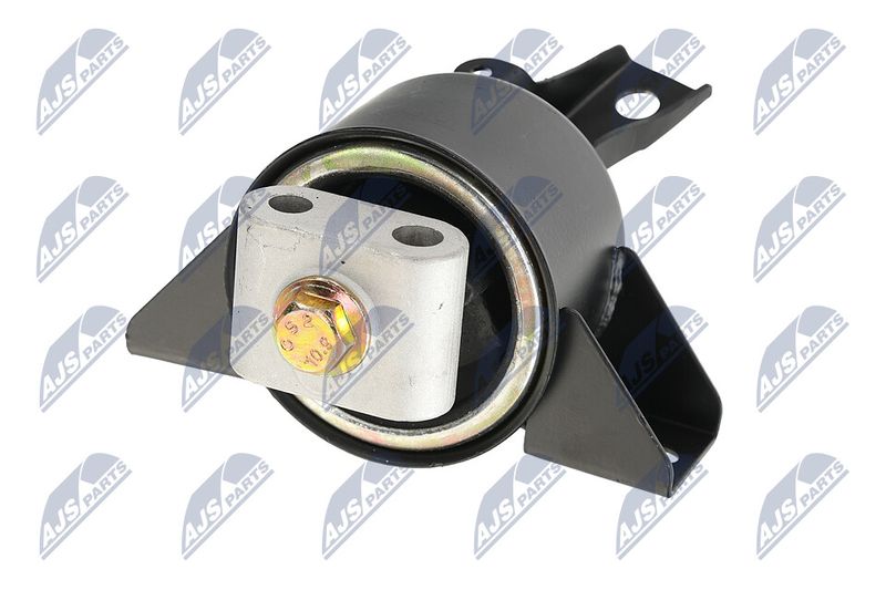 Paigutus, Mootor, NTY ZPS-DW-010