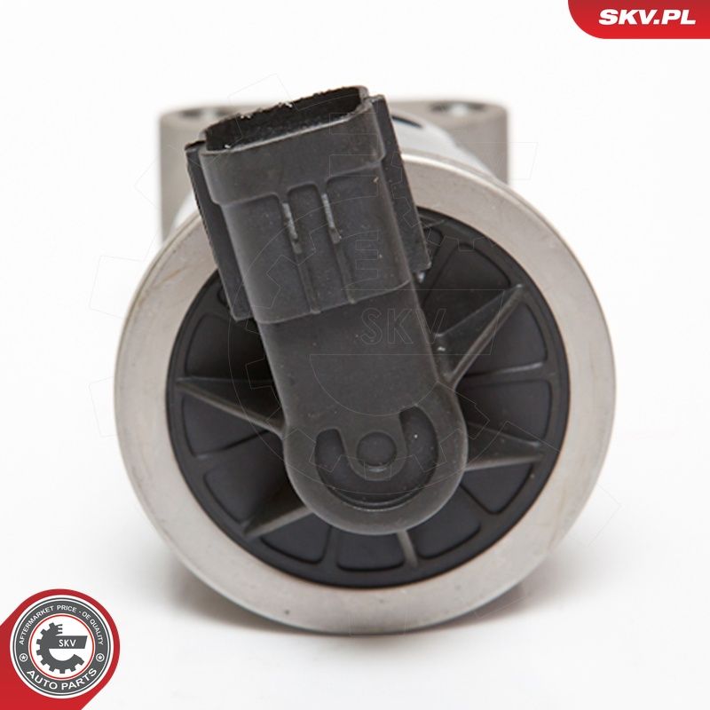 EGR-klapp, ESEN SKV 14SKV059
