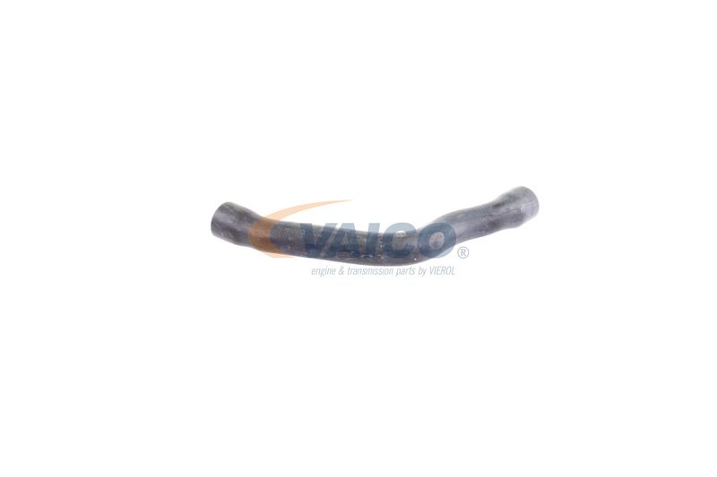 VAICO V30-2099 Radiator Hose