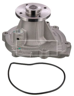 BORG & BECK Water Pump, engine cooling BWP2473