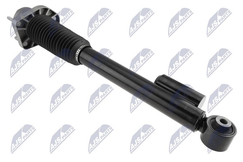 Amort, NTY A-LR-019