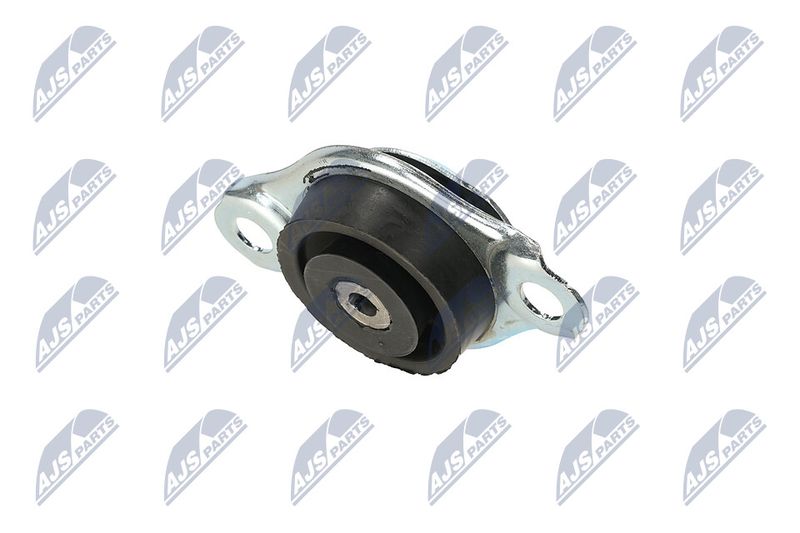 Paigutus, Mootor, NTY ZPS-FT-005