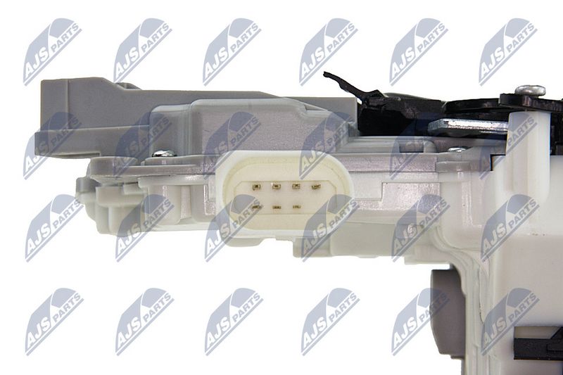 ezc-vw-018_7-wm.JPG