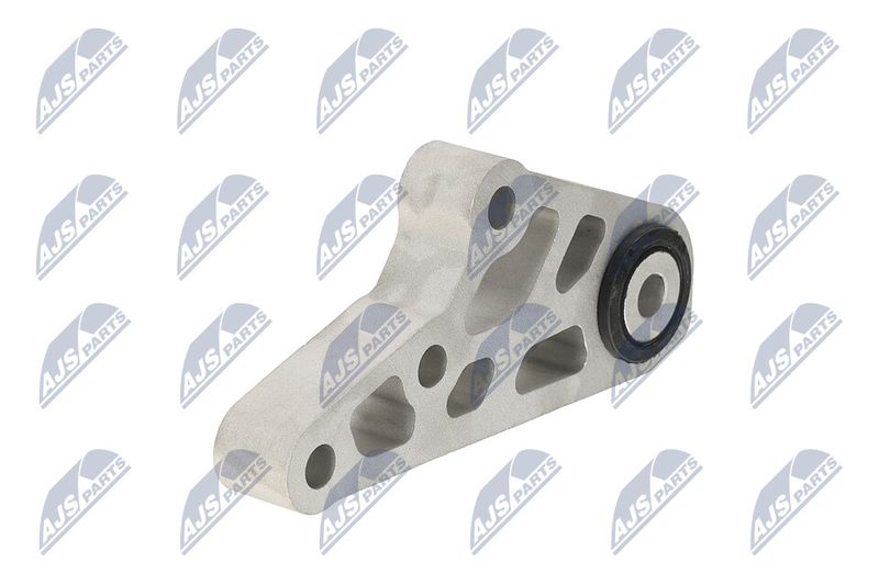 Paigutus, Mootor, NTY ZPS-CH-119