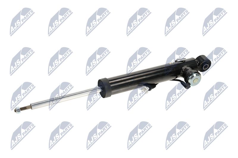 Amort, NTY A-PL-066