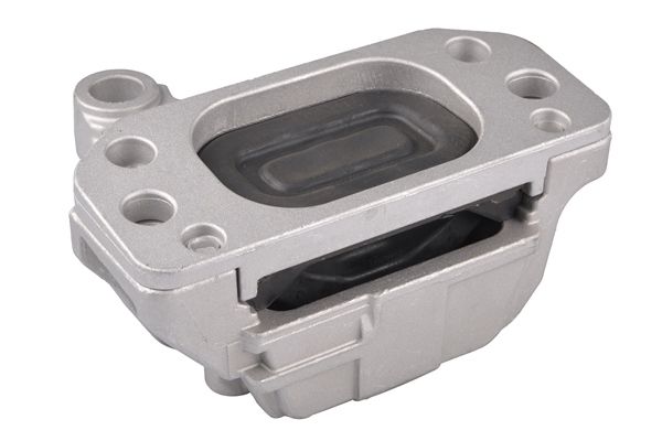 TEDGUM TED50930 Mounting, engine