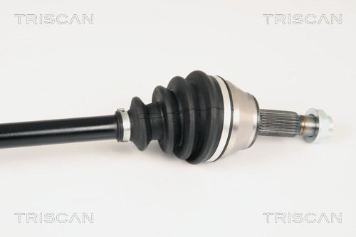 854016607_3.JPG