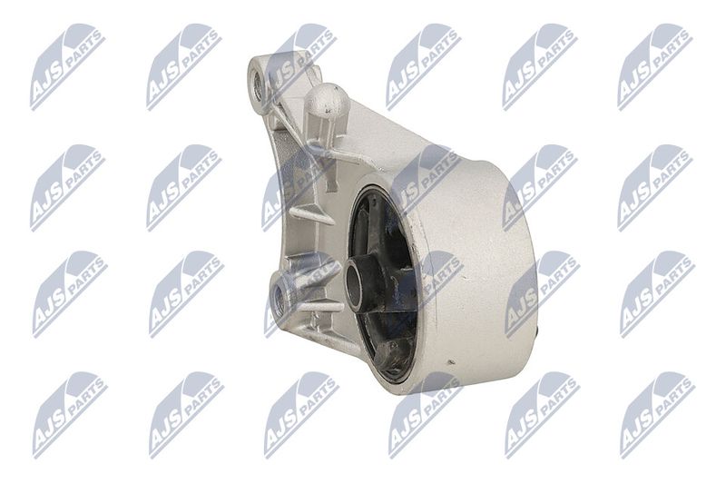 Paigutus, Mootor, NTY ZPS-PL-093