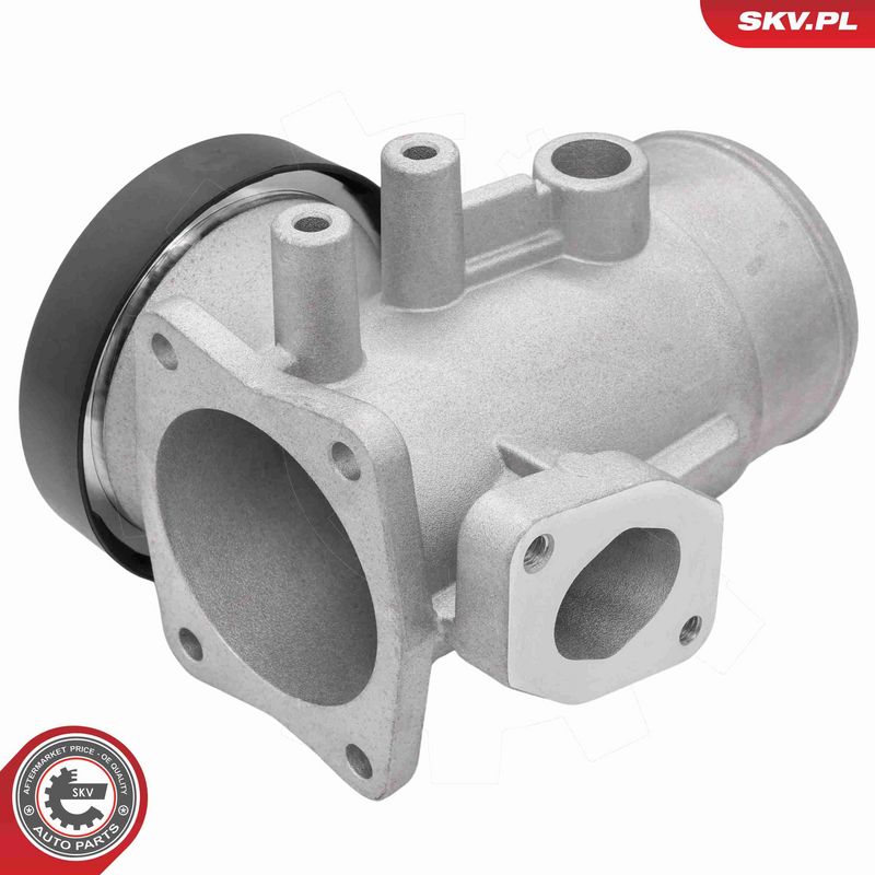 ESEN SKV 14SKV298 EGR Valve