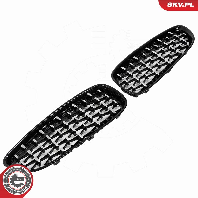 Radiaatorivõre, ESEN SKV 66SKV313