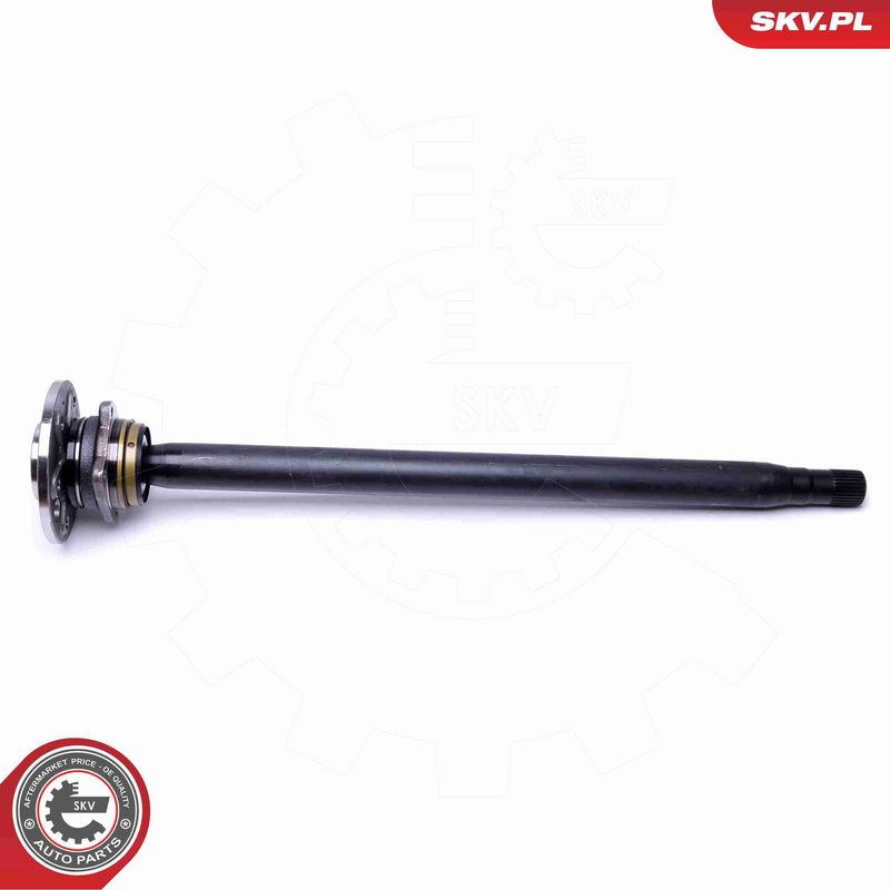 ESEN SKV 29SKV998 Wheel Bearing Kit