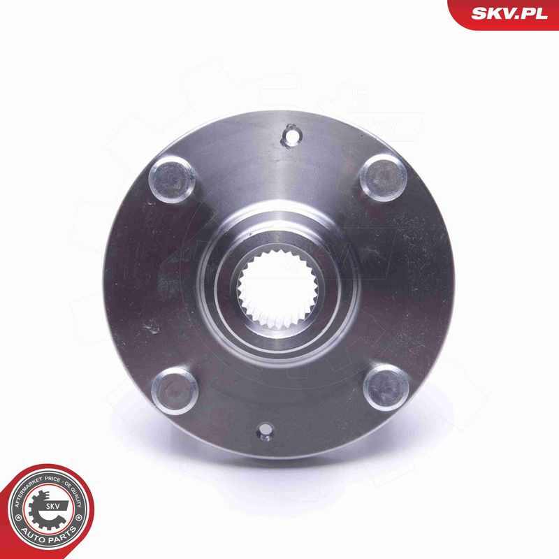 ESEN SKV 29SKV485 Rato guolio komplektas