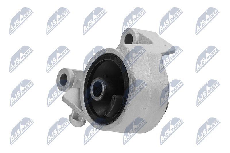Paigutus, Mootor, NTY ZPS-PL-007