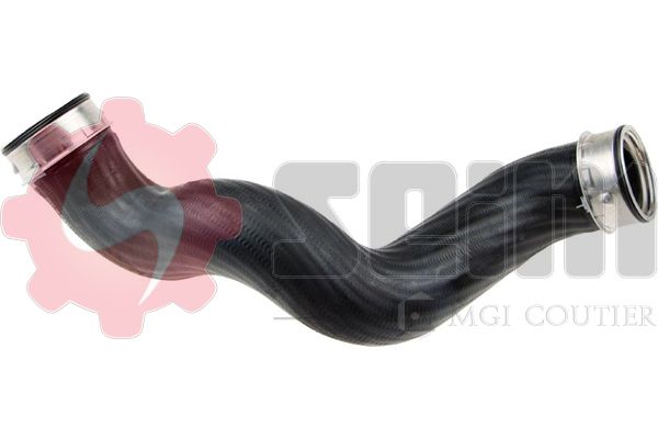 981403.JPG