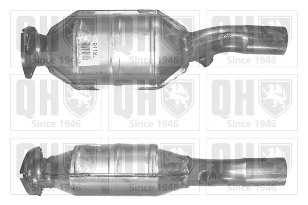 QH_QCAT91182H.JPG