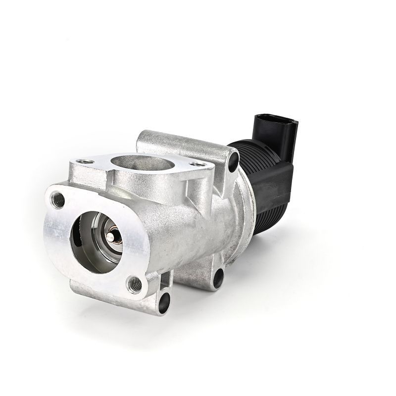 AGR-Ventil EG10403-12B1