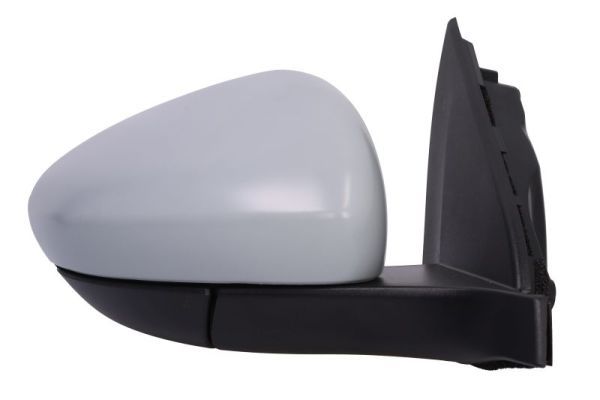 BLIC 5402-07-0354313P Exterior Mirror