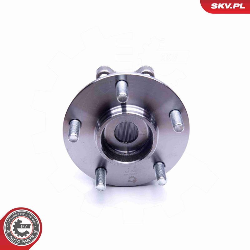 ESEN SKV 29SKV262 Wheel Bearing Kit