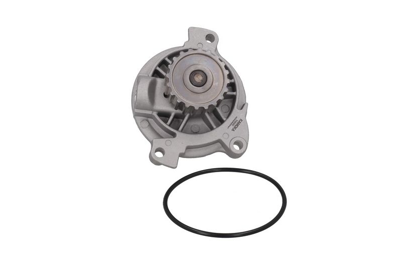 KAMOKA T0042 Vandens siurblys