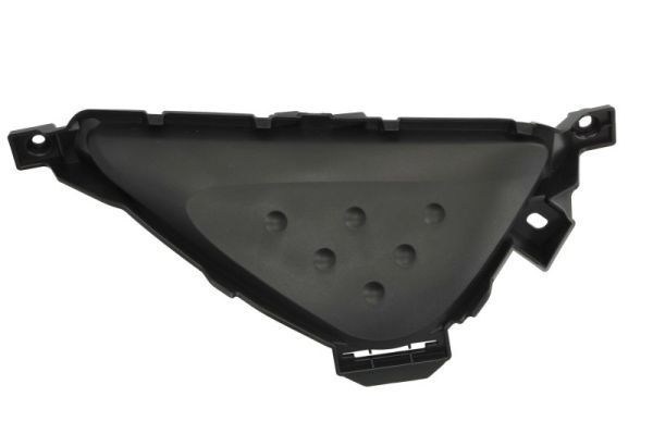 BLIC 6502-07-8189914P Cap, front fog light