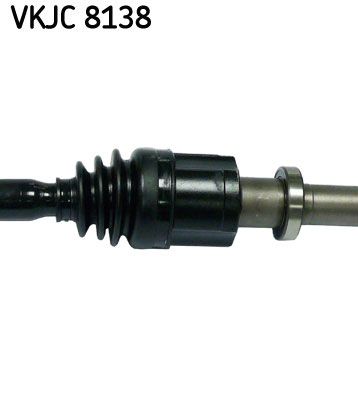 VKJC 8138_3.JPG