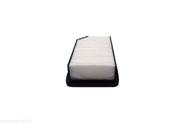 AUTOMEGA 250052810 Air Filter
