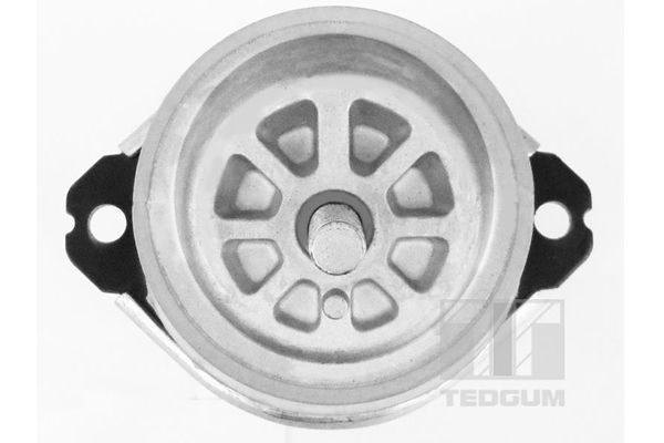 TEDGUM 00728486 Mounting, engine