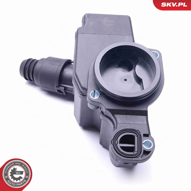 ESEN SKV 31SKV098 Repair Kit, crankcase ventilation