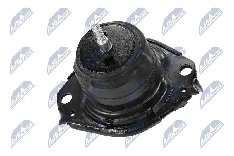 Paigutus, Mootor, NTY ZPS-CH-091