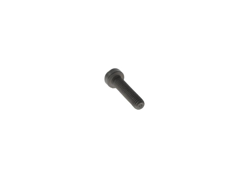 Surub F 00N 202 190 BOSCH