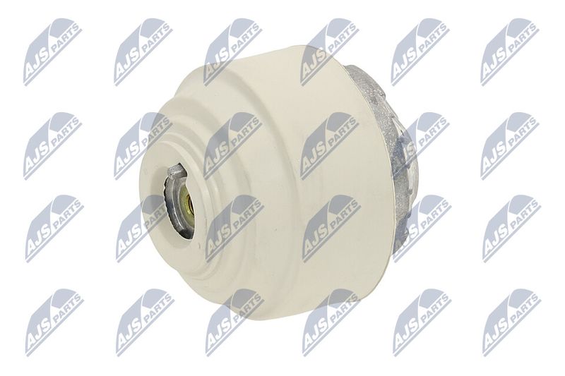 Paigutus, Mootor, NTY ZPS-ME-102