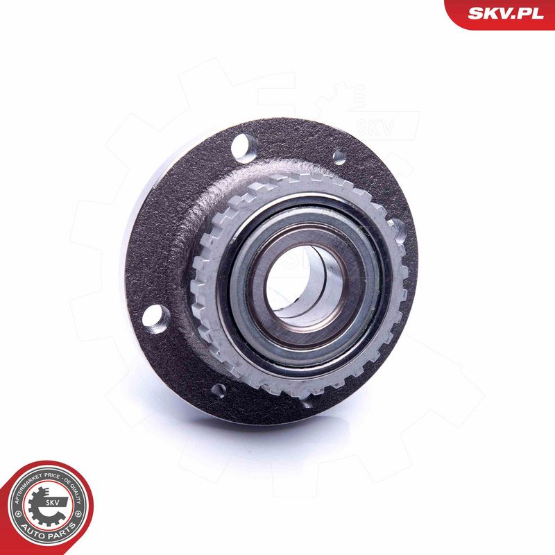 Rattalaagrikomplekt, ESEN SKV 29SKV201