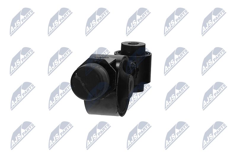 Paigutus, Mootor, NTY ZPS-NS-060