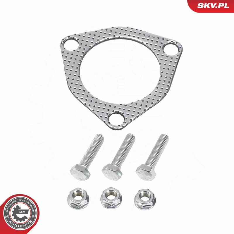 ESEN SKV 62SKV139 Catalytic Converter